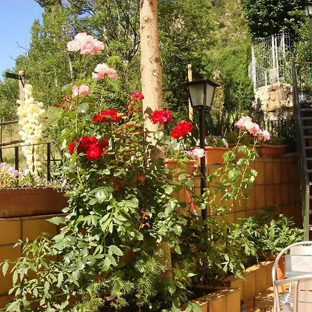Guest house Carme Pascual 2*